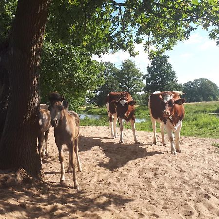 Bed&Breakfast Hellendoorn Buitenkant foto